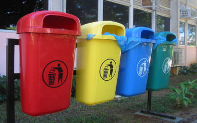 How a Disposal Bin Rental Benefits the Environment
