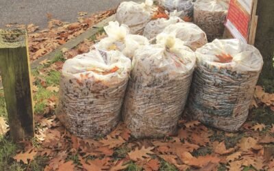 Get Spring Cleaning Done by Using a Bin Rental