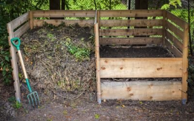 How Can Your Yard Waste Impact the Environment?