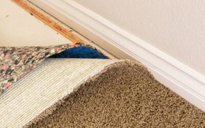 Tips for Summertime Carpet Removal