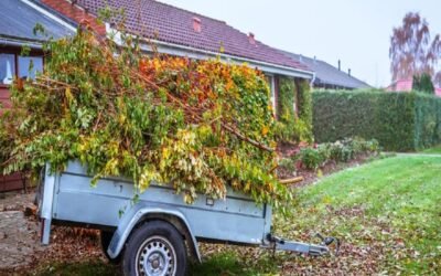 The Ideal Methods for Disposing of Yard Waste