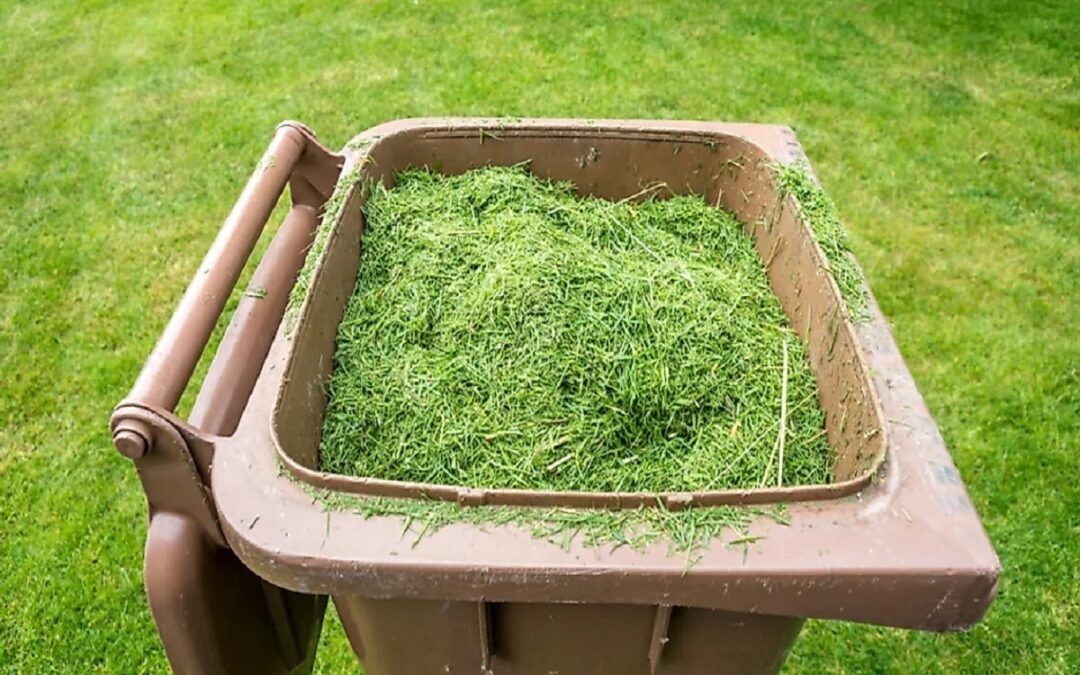 The Impact of Your Green Waste on the Environment