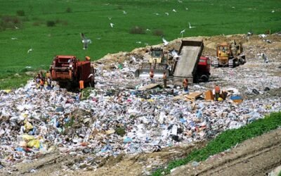 6 Eco-Friendly Methods to Get Rid of Construction Waste