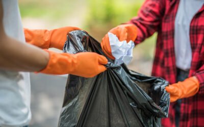 The Pros and Cons of DIY Junk Removal vs. Renting a Dumpster Bin in Ottawa
